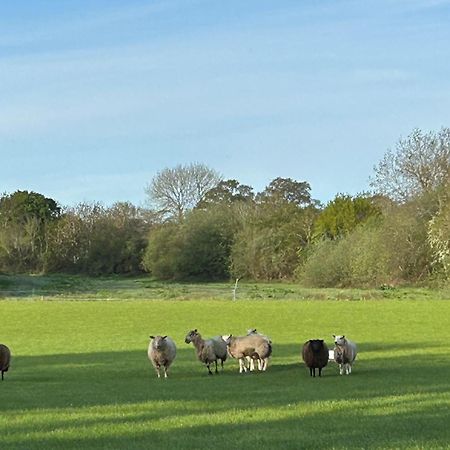 Oak Barn In The Cotswolds Near Moreton In Marsh 希普顿斯图尔 外观 照片