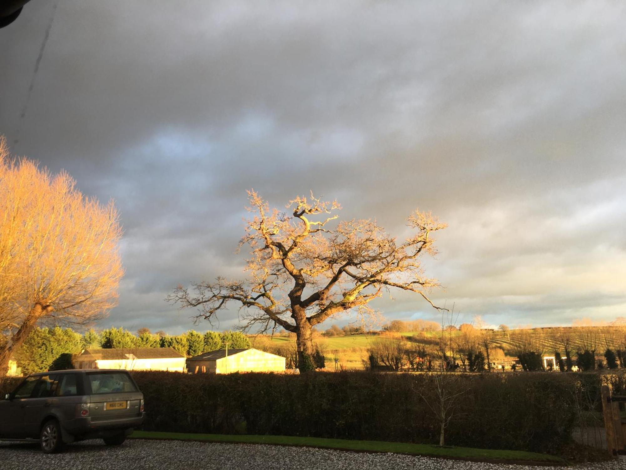 Oak Barn In The Cotswolds Near Moreton In Marsh 希普顿斯图尔 外观 照片